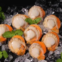 精選特大扇貝肉200g/袋*10袋無(wú)泥無(wú)沙凈重?zé)o冰新鮮速凍鮮活扇貝肉